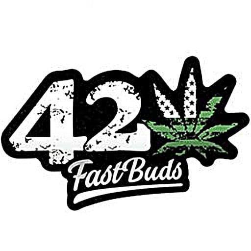 fast_buds